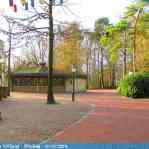 img-6005.jpg
