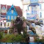 img-6078.jpg