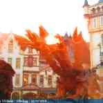 img-6080.jpg