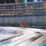 img-6132.jpg