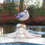img-6142.jpg