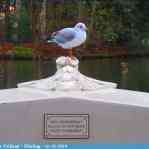 img-6143.jpg
