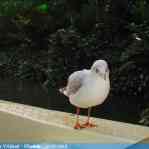 img-6145.jpg