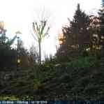 img-6146.jpg