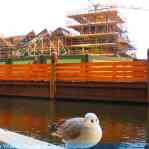 img-6150.jpg