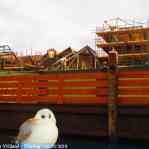 img-6152.jpg