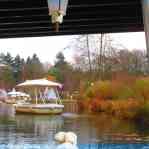 img-6166.jpg
