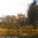 img-6169.jpg