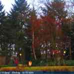 img-6171.jpg