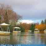 img-6172.jpg