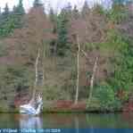 img-6175.jpg
