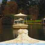 img-6176.jpg