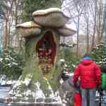img-0341.jpg