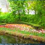 img-1102.jpg