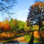 img-7245.jpg