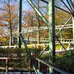 img-7248.jpg