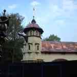 img-0794.jpg