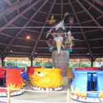 img-0802.jpg