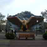 img-0804.jpg
