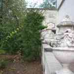 img-0814.jpg