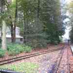 img-0822.jpg