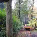 img-0823.jpg
