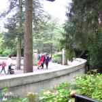 img-0824.jpg