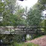img-0829.jpg
