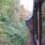 img-0833.jpg