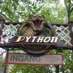 img-0839.jpg