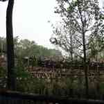 img-0855.jpg