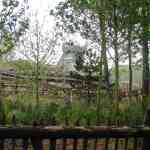 img-0856.jpg