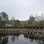 img-0857.jpg