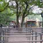 img-0861.jpg