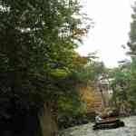 img-0866.jpg