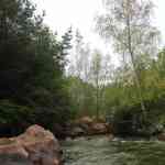 img-0869.jpg