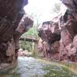 img-0870.jpg