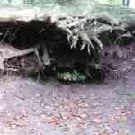 img-0877.jpg