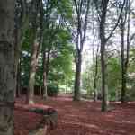 img-0878.jpg