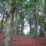 img-0879.jpg