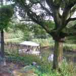 img-0881.jpg