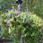 img-0882.jpg