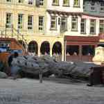 img-0909.jpg