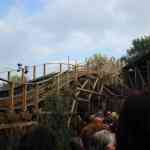 img-0955.jpg