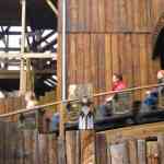 img-0961.jpg