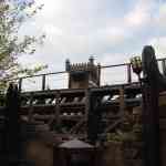 img-0973.jpg