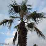 img-0983.jpg
