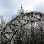 img-0010.jpg