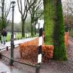 img-0014.jpg
