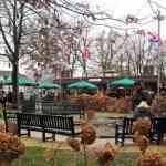 img-0015.jpg
